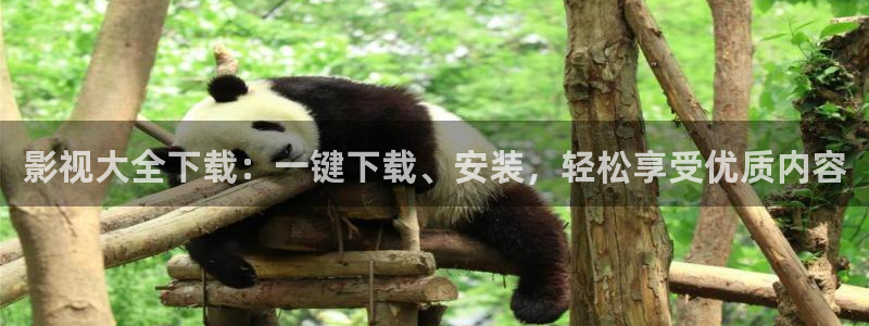 探花在线视频播放：影视大全下载：一键下载、安装，轻松享受优质内容