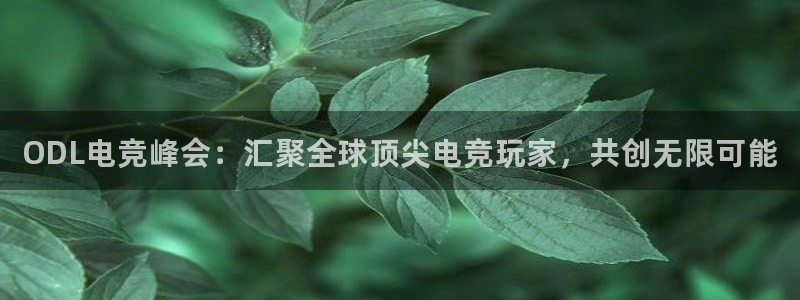 乐竞电竞平台- 首页：ODL电竞峰会：汇