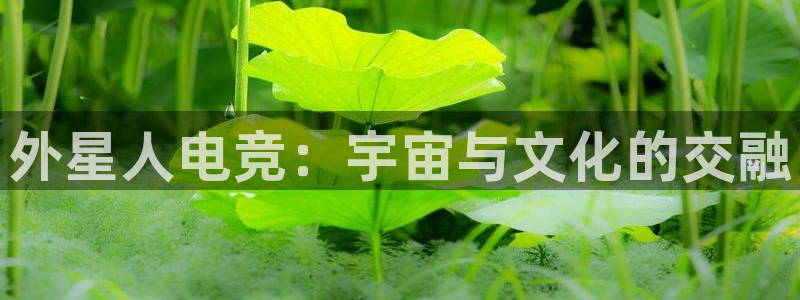 乐竞电竞是什么公司：外星人电竞：宇宙与文
