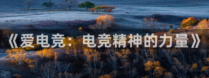 乐竞电竞平台下载：《爱电竞：电竞精神的力