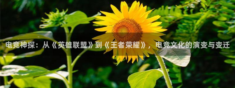 乐竞电竞怎么样：电竞神探：从《英雄联盟》